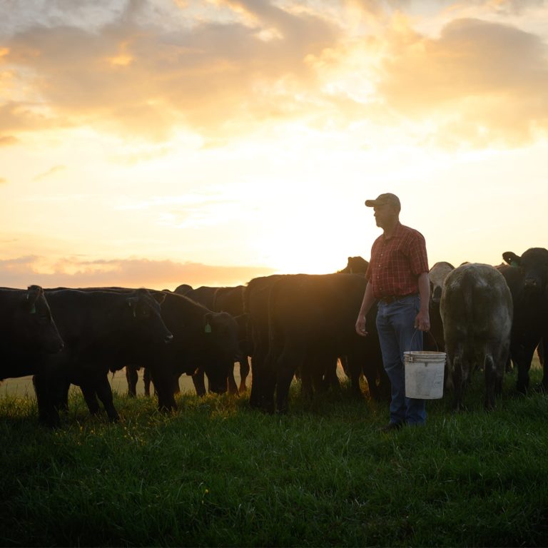 rancher carrying a bucket in a pasture