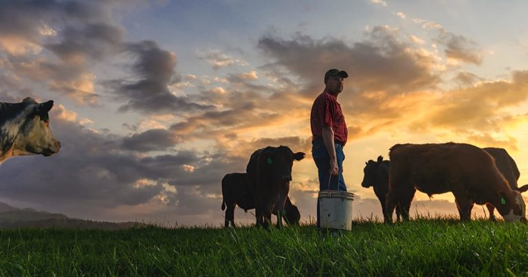 farmer carrying bucket in pasture