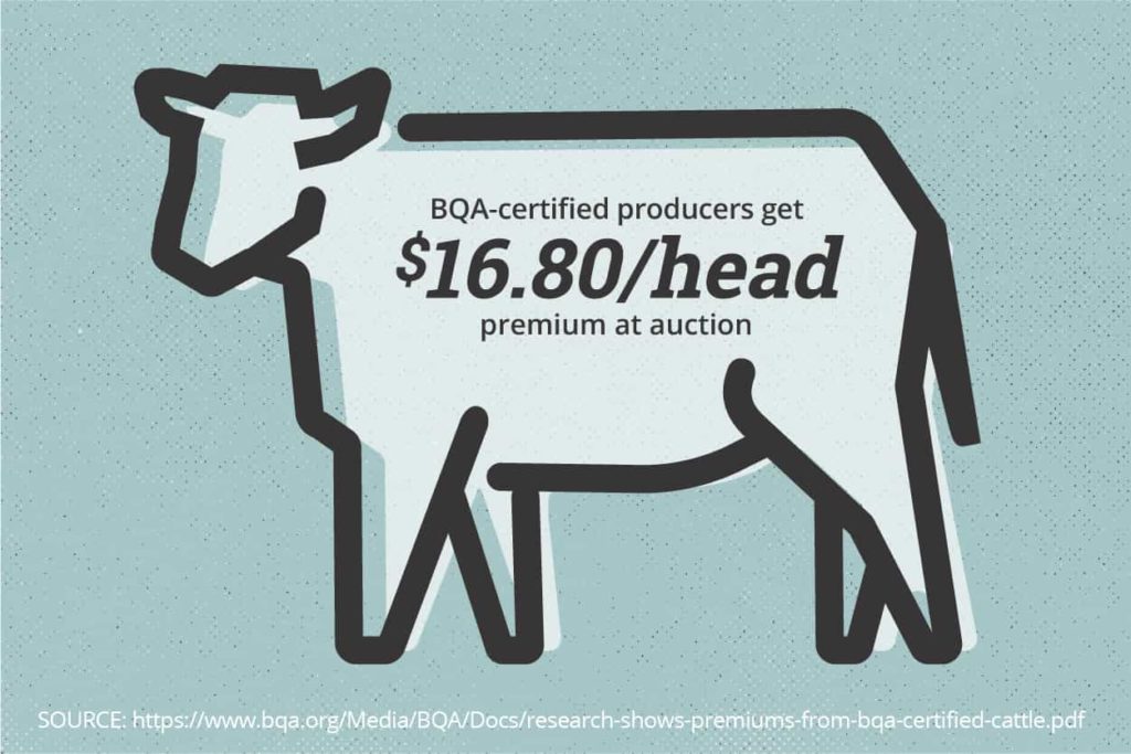 Premiums And Market Drivers Behind BQA-Certified Beef | Beef Board