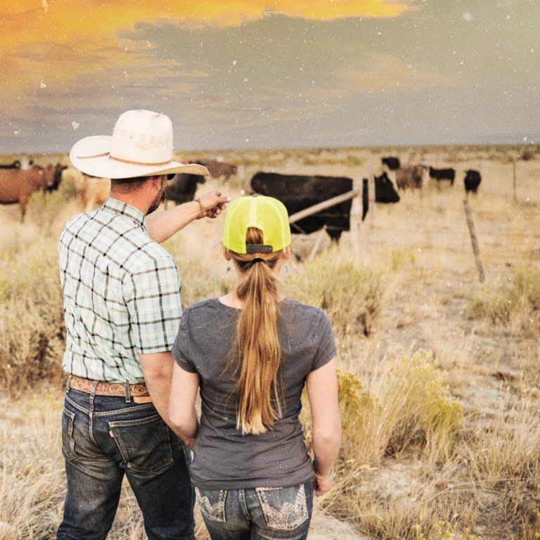 man and woman on ranch pointing to cows