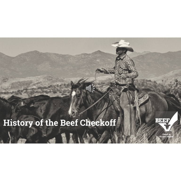 black and white history of the beef checkoff