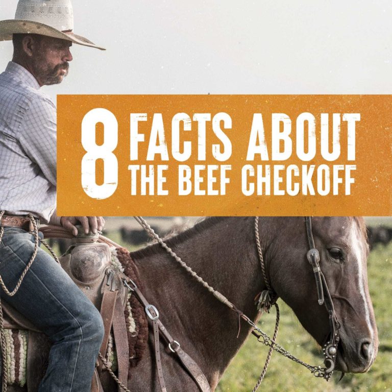 8 facts about the beef checkoff icon image