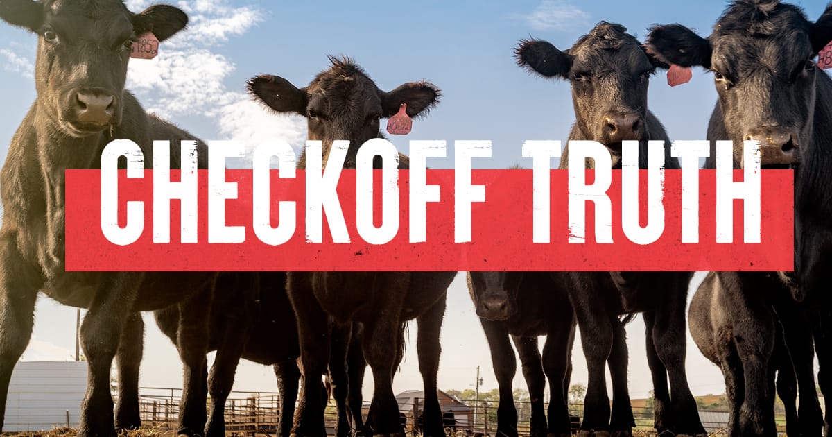 Truth About The Beef Checkoff: Government & Policy