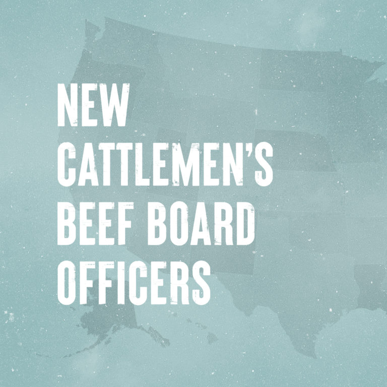 new cattlemen's beef board officers
