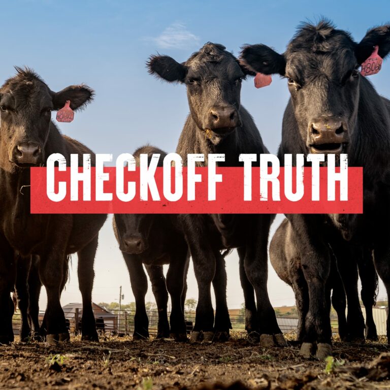 Checkoff truth thumbnail