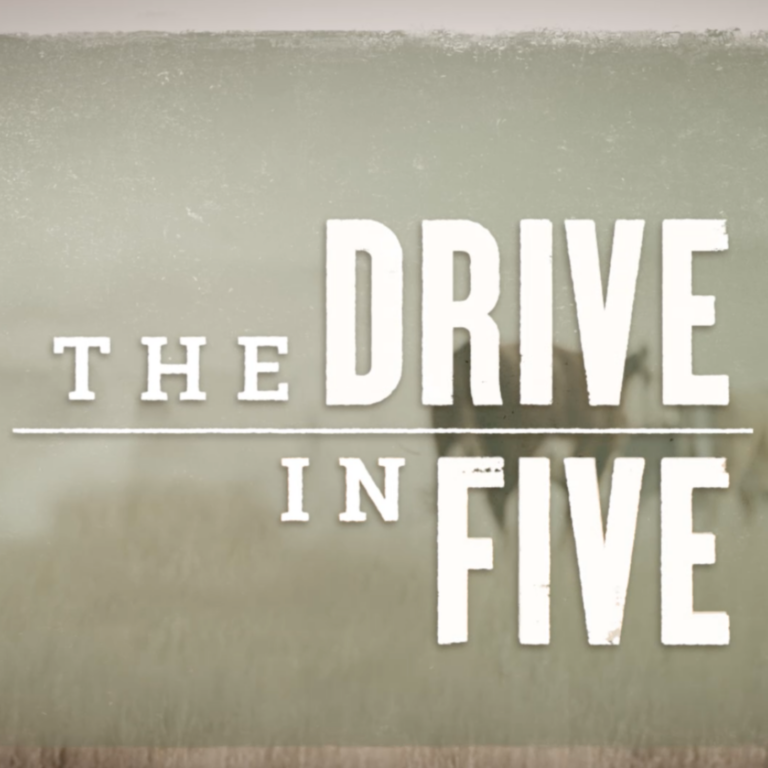 the drive in five